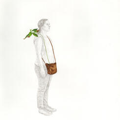 Portable Plant Study #2 (Persea americana)