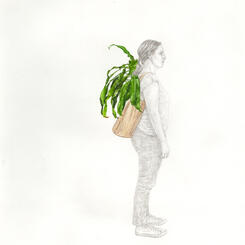 Portable Plant Study #3 (Dracaena fragrans Massangeana)