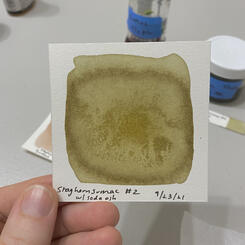 Staghorn sumac drupe ink study