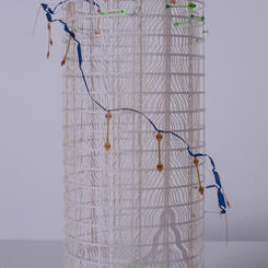 Invasive Ecologies (Biotech Silo)