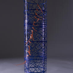 Invasive Ecologies (BioTech II)