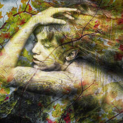 Caress of Maples.jpg