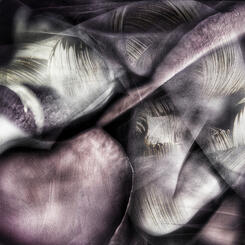 Heart of the Rose .jpg