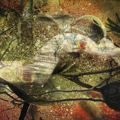 IMG_7490 Through Time.jpg