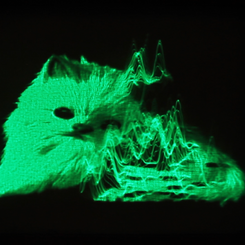 My Favorite Object (Still)