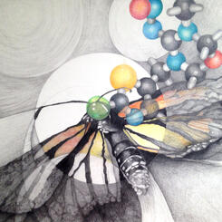 Parlato Pollinator bird 2.jpg