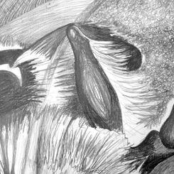 Parlato Pollinator Bee and Neonicotinoid Detail.jpg