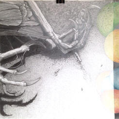 Parlato Pollinator Bird Feet and Neonicotinoid.JPG