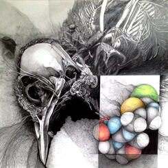 Dead Bird and Neonicotinoid Molecule