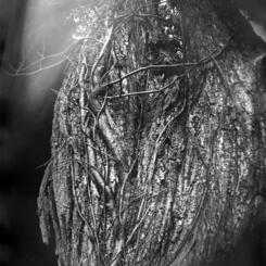 untitled (TC111 August 2003)