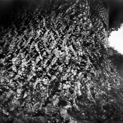 untitled (TC176 2004)