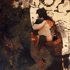 untitled_ambient light print