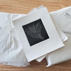 Lanesville Press Mezzotint Book - Pokeweed Engraved Print