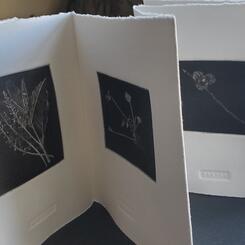 Lanesville Press Mezzotint Book