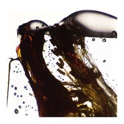 detail projected worry slide