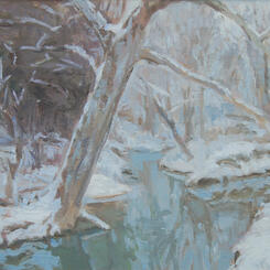 Long Green Creek Winter Tree