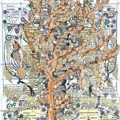 Phylogenic Entanglement