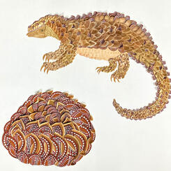Massai Shields for a Pangolin 