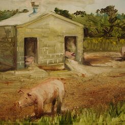 Pig farm.jpg