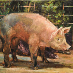 Pig study.jpg