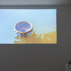 Scattered Trees on A Storm Swept Plain