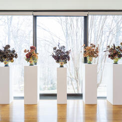 The Plant People, 2021