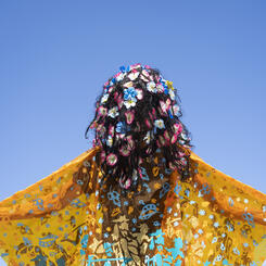 Climate Immigrant, 2019