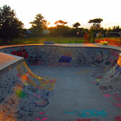 skatebowl sunset magic