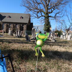 cemetery frog
