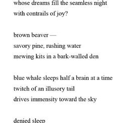 Poem by Patricia Wentzel, Savory Pine, Rushing Waterwas the inspiration for my visual response