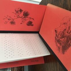 she named him michael.JPG