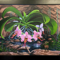 Phalaenopsis colossum