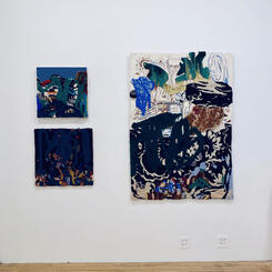 Installation View A Visceral Pursuit