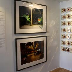 Bird-B-Gone:  Extinction Countdown installation, Flight Risk, solo show, Sandbox Initiative, Washington College