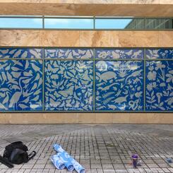 Patuxent Wildlife Research Center, bird-friendly window film design