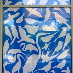 bird-friendly window film design