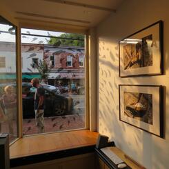 bird-safe window treatment, interior view