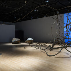 Empirical Evidence: Installation - Bittersweet vines, Calving Ice and Boulders