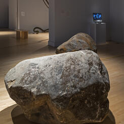 Empirical Evidence: Maryland Boulders, Echo Rock Series with Monitor