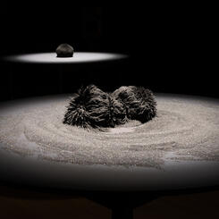 Empirical Evidence: Converging Nebulae with Force Field