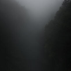 Empirical Evidence: Canyon/ Zhangjiajie Mountains