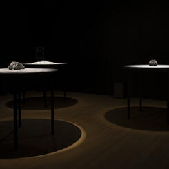 Cosmic Chamber 2019-0ngoing