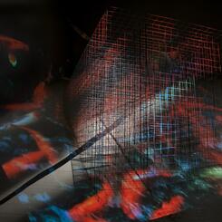 Sunken Grid with Strike and Koi (Back view)