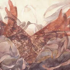 Esperanza de Pandora