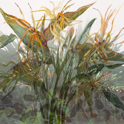 The Other Side of Paradise