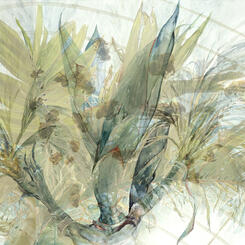 Five Stages of the Palm with Bees