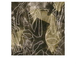 Field Guide-Branches