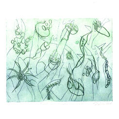 FieldGuide-Coral & Zooanthella