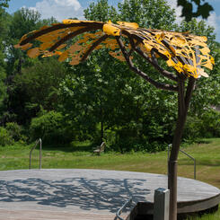 Ginkgo Canopy-side view