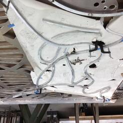 Squiggles, bacteria, connective tissue- in progress